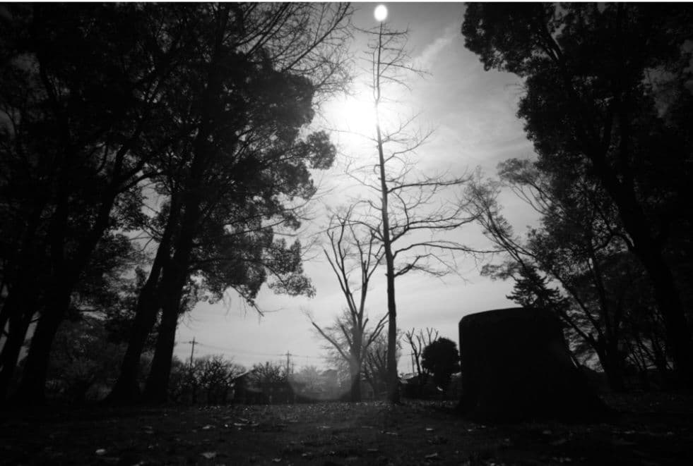 ☆最終値下げ☆ルサール　MP-2 20ｍｍ　f５.6 超希少レンズ