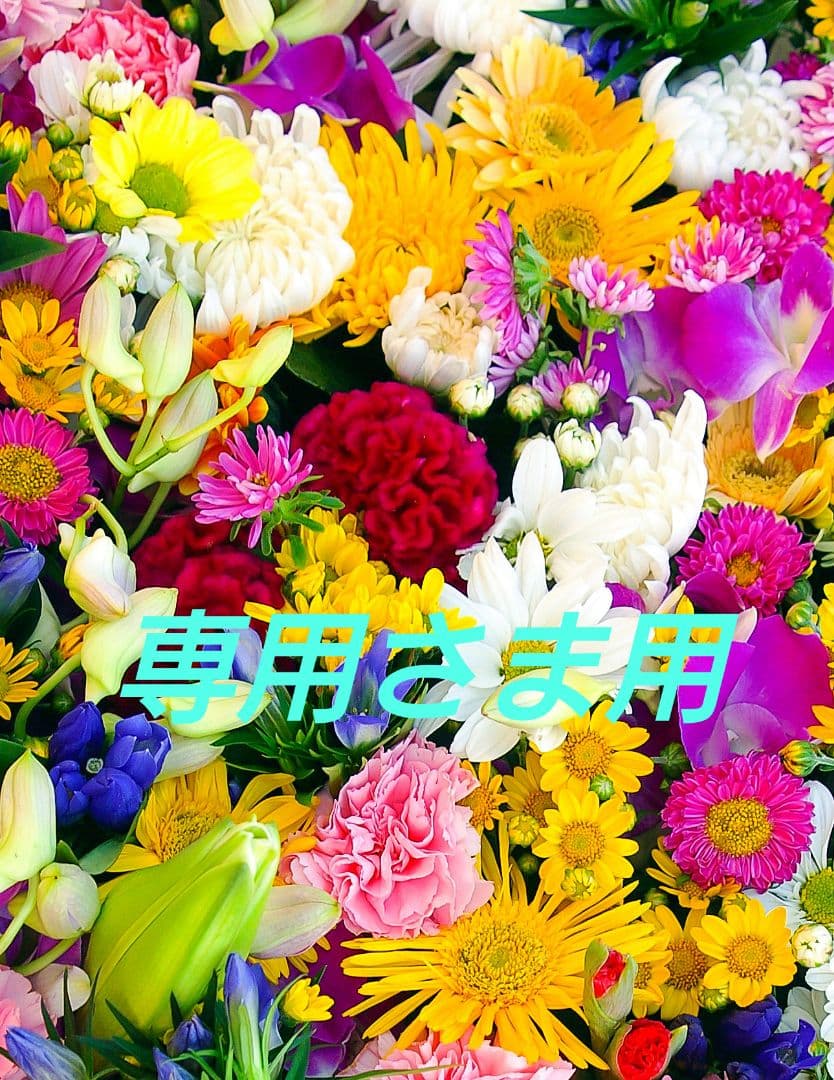 【おまけ付】りそうのコーヒー 4箱セット