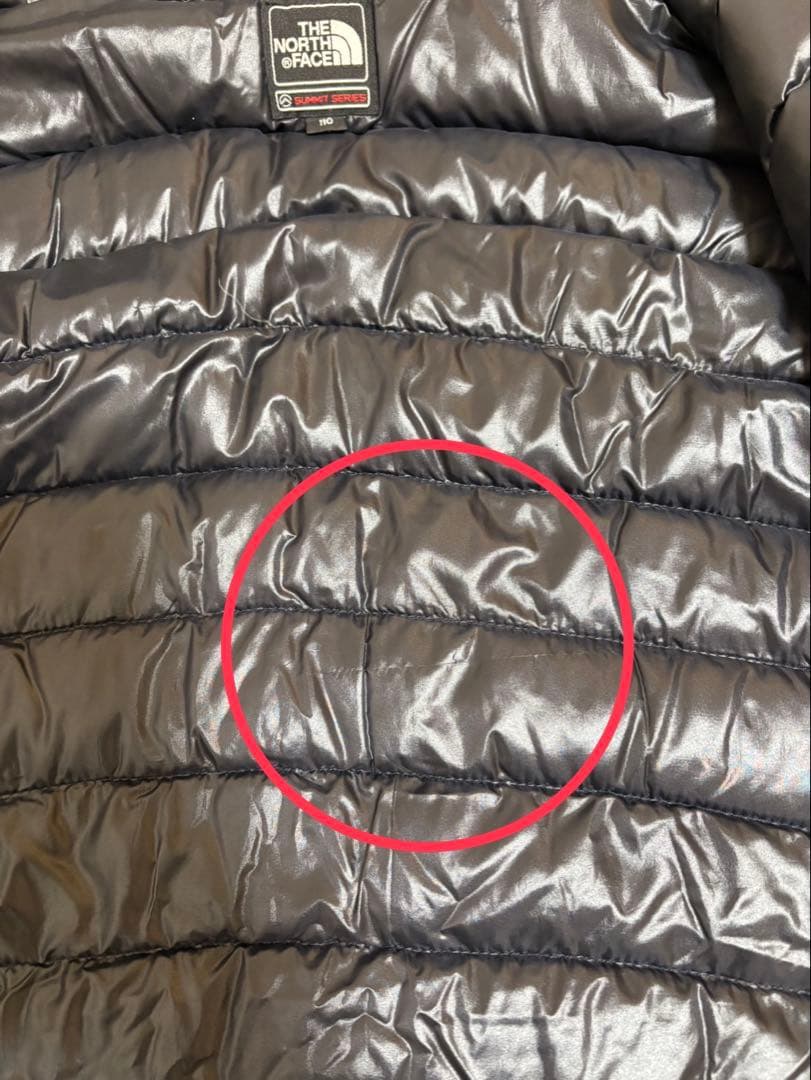 THE NORTH FACE Summit Series 700 ダウンベスト