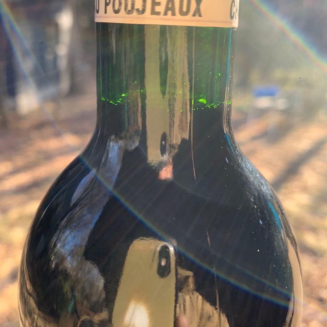 シャトー　プジョー 1994　PP87