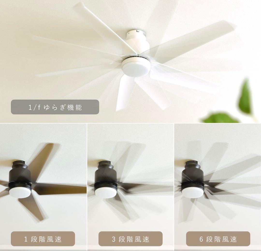 シーリングファンライト Finia (フィニア)