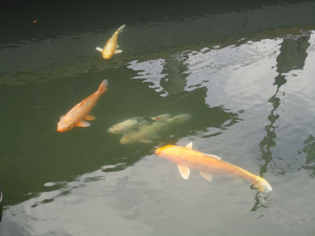 SONY Cyber-shot DSC-W380 ブラック 完動品