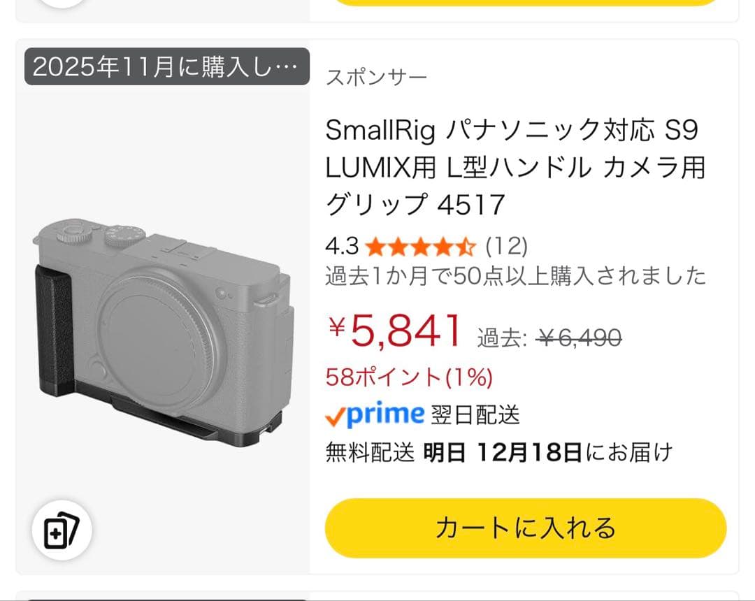 美品おまけ Panasonic Lumix S9 ダークシルバー