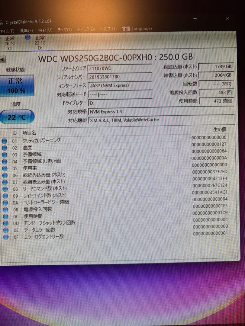 ウエスタンデジタル M.2 ssd 500GB&250GBセット