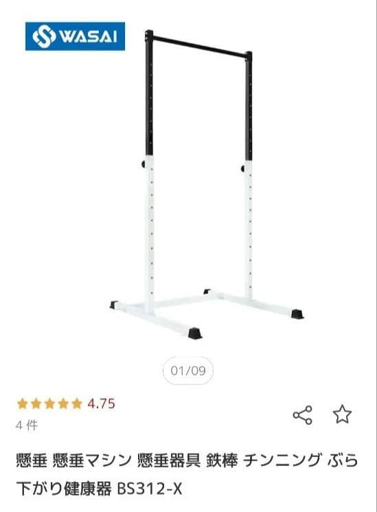 懸垂マシンWASAI ぶら下がり健康器 BS312-X　未使用品