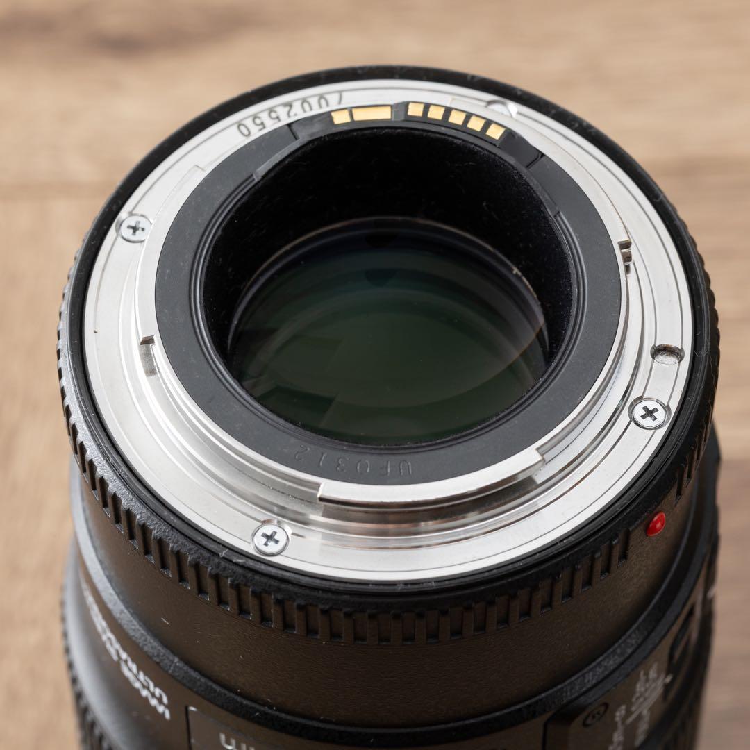 Canon EF100mm F2.8L IS USM マクロ