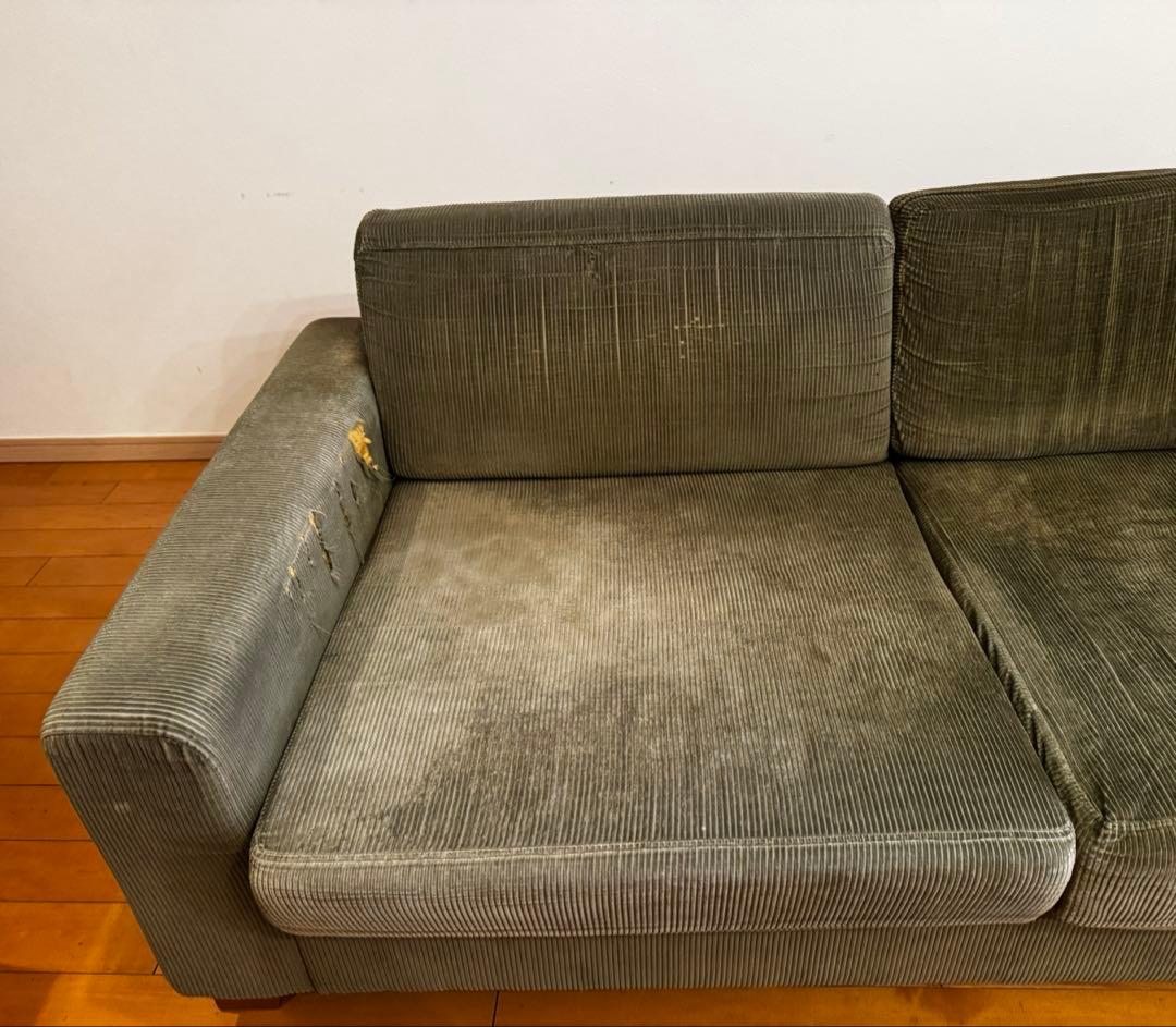 raven　ジャーナルスタンダードファニチャー　オリーブグリーン