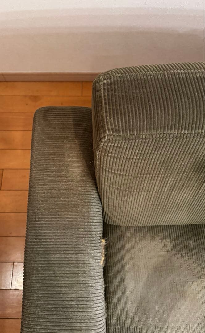 raven　ジャーナルスタンダードファニチャー　オリーブグリーン