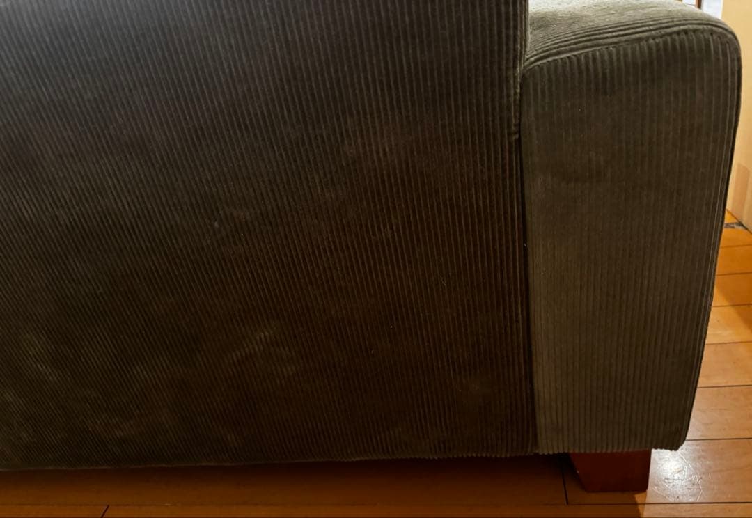 raven　ジャーナルスタンダードファニチャー　オリーブグリーン