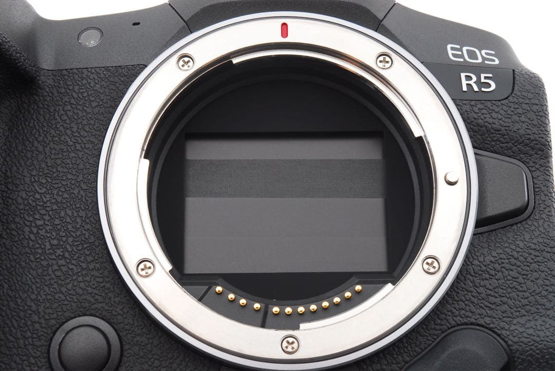 付属品付き ミラーレス一眼カメラ Canon EOS R5 ボディー EOSR5