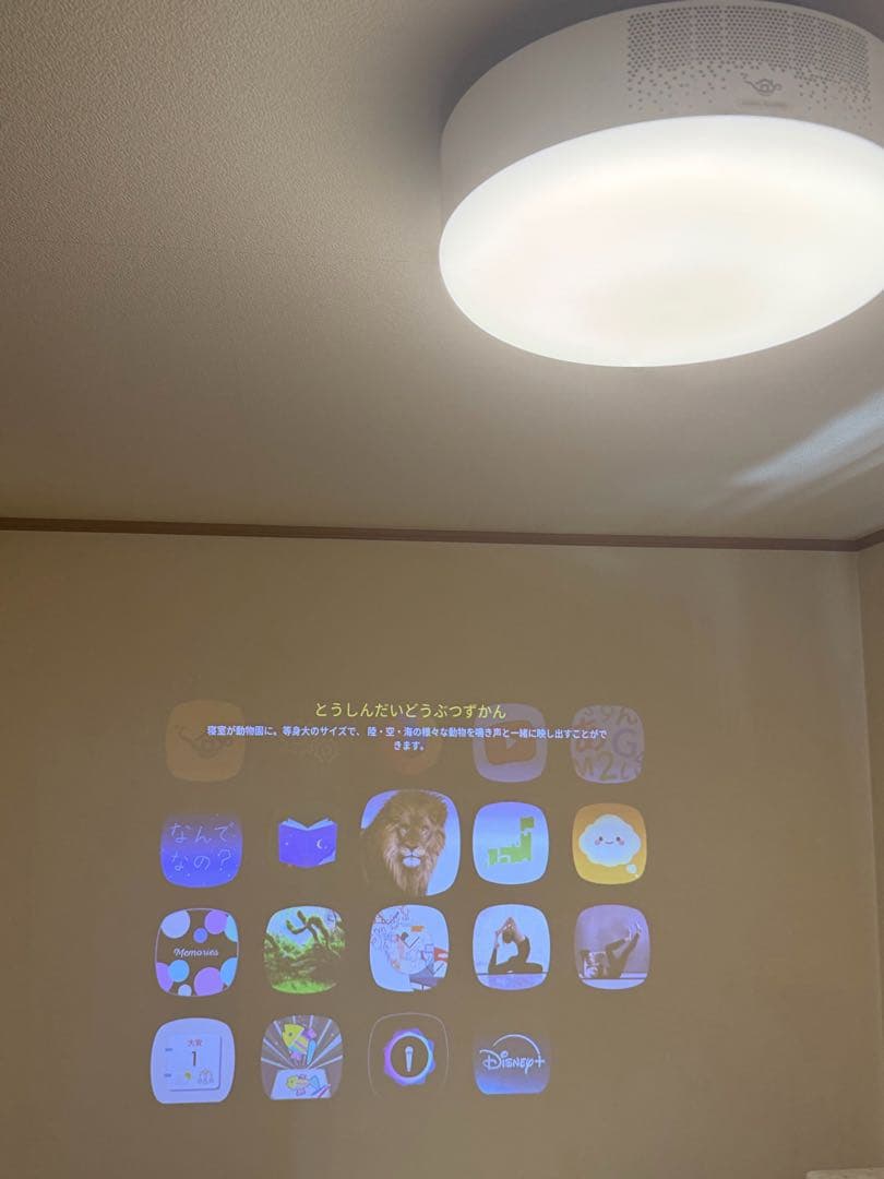 【RJ】ポップインアラジン初代