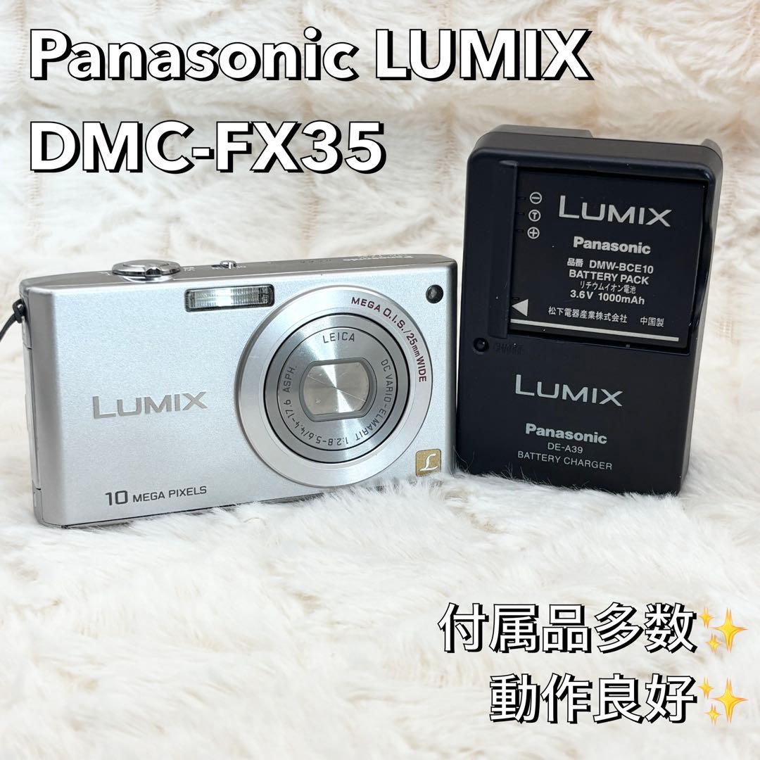付属品多数！ Panasonic LUMIX DMC-FX35 シルバー