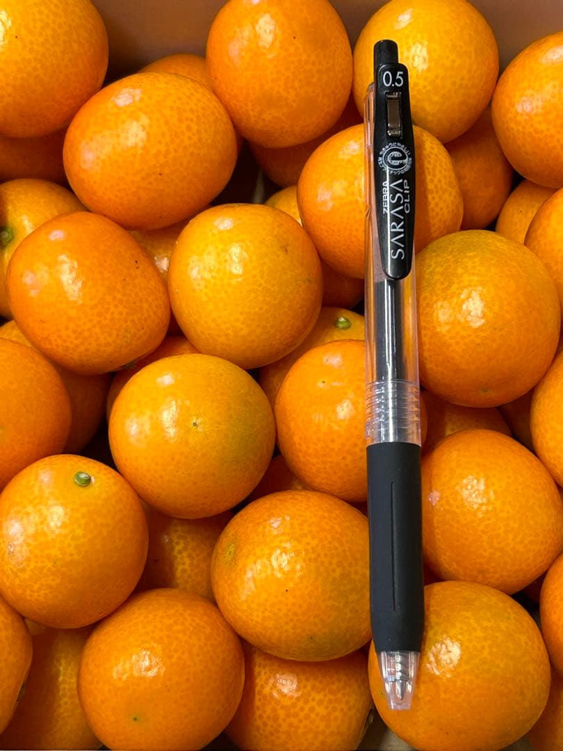 宮崎県産　ロジ金柑　箱込10キロ　2Lサイズ　d