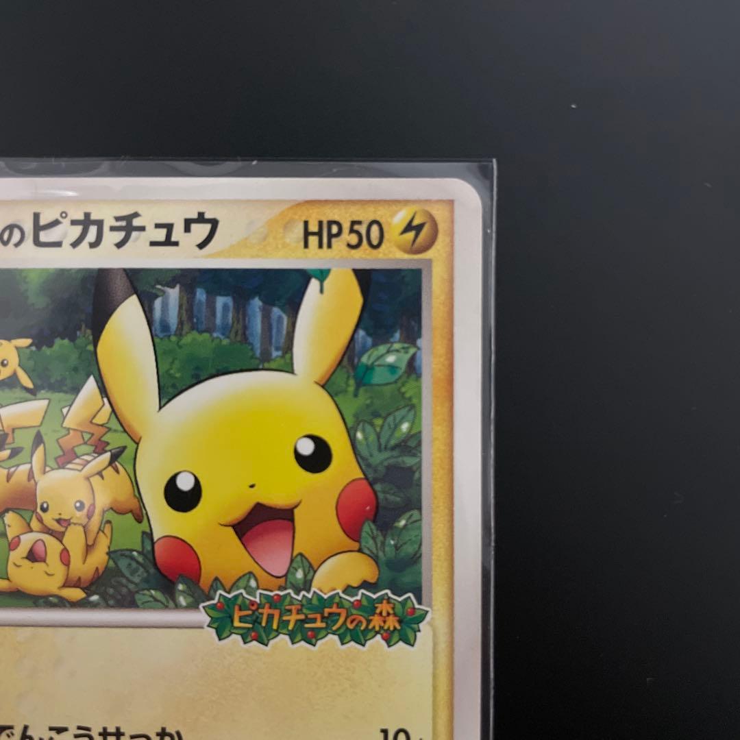 こ*ぱ様 ポケパークのピカチュウ 043/PCG-P