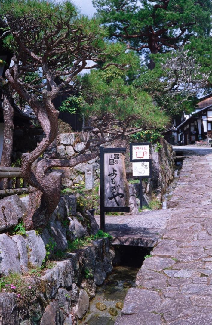 Canon QL 17 整備品、テスト撮影済み　292705