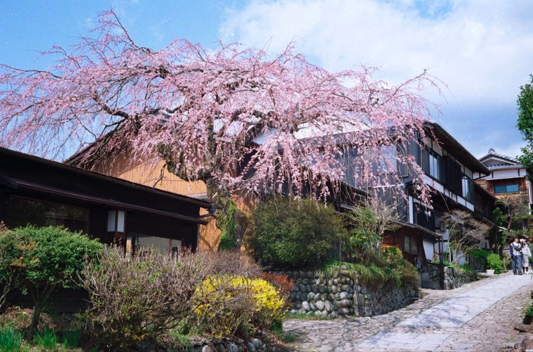 Canon QL 17 整備品、テスト撮影済み　292705