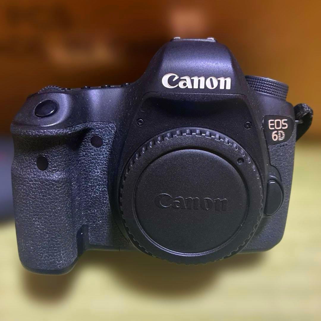 Canon デジタル一眼レフカメラ 6D EF 24-105mm