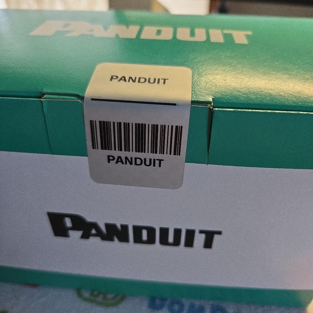 サチあれ　Panduit CAT6Aモジュラープラグ