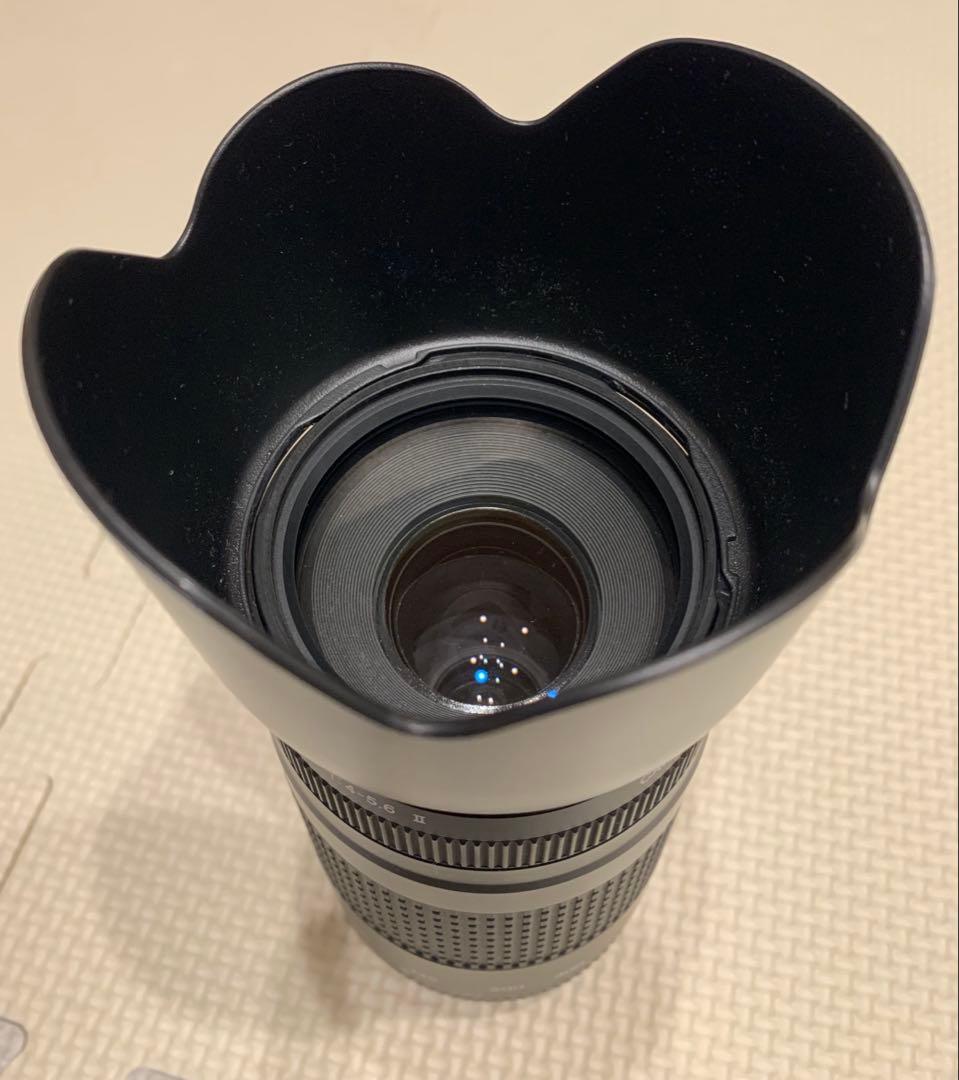 Canon EF 75-300mm F4-5.6 II フード付望遠