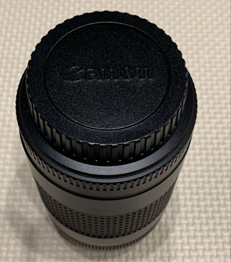 Canon EF 75-300mm F4-5.6 II フード付望遠