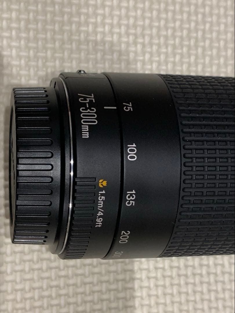 Canon EF 75-300mm F4-5.6 II フード付望遠