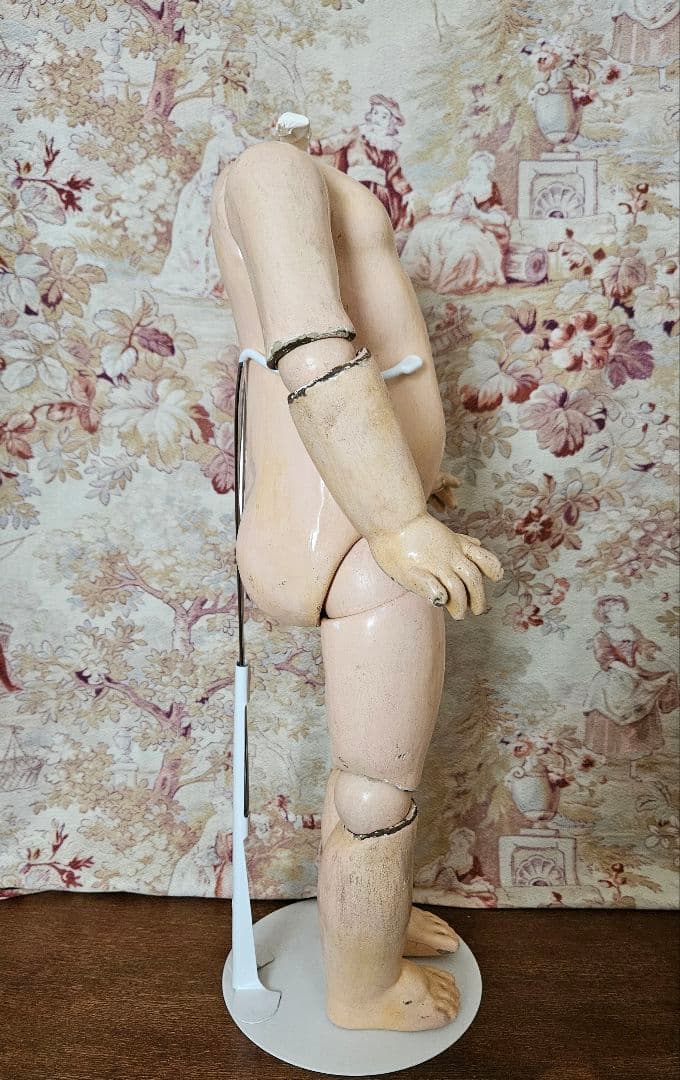 フランスアンティーク ジュモーボディ