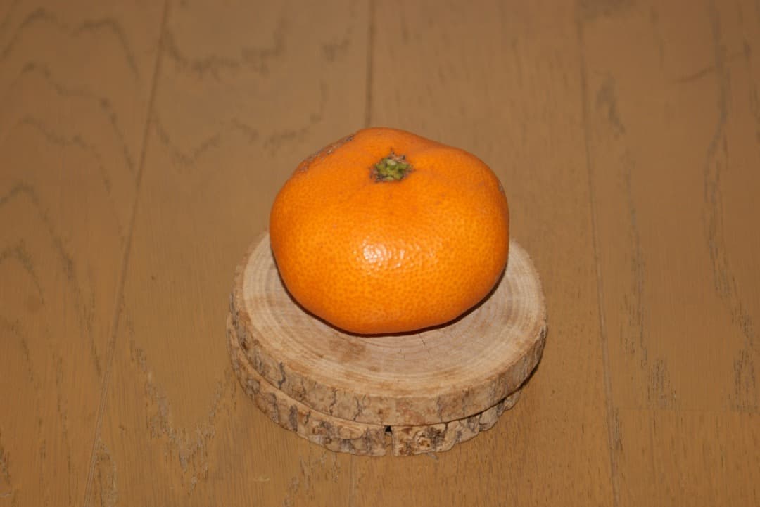 SONY α230 デジタル一眼レフカメラ