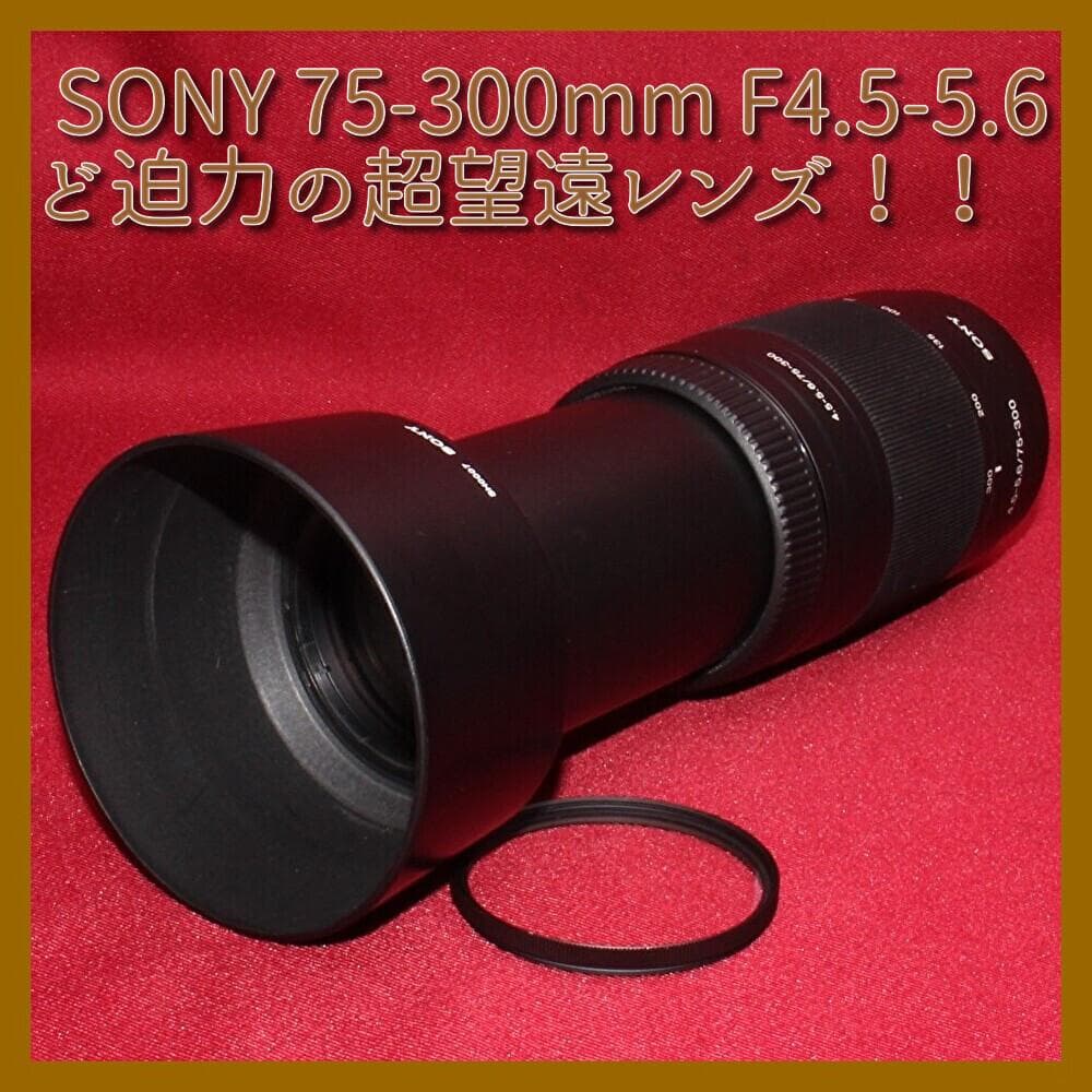 ⭐️SONY aマウント用 超望遠レンズ⭐️❤️SONY 75-300mm❤️