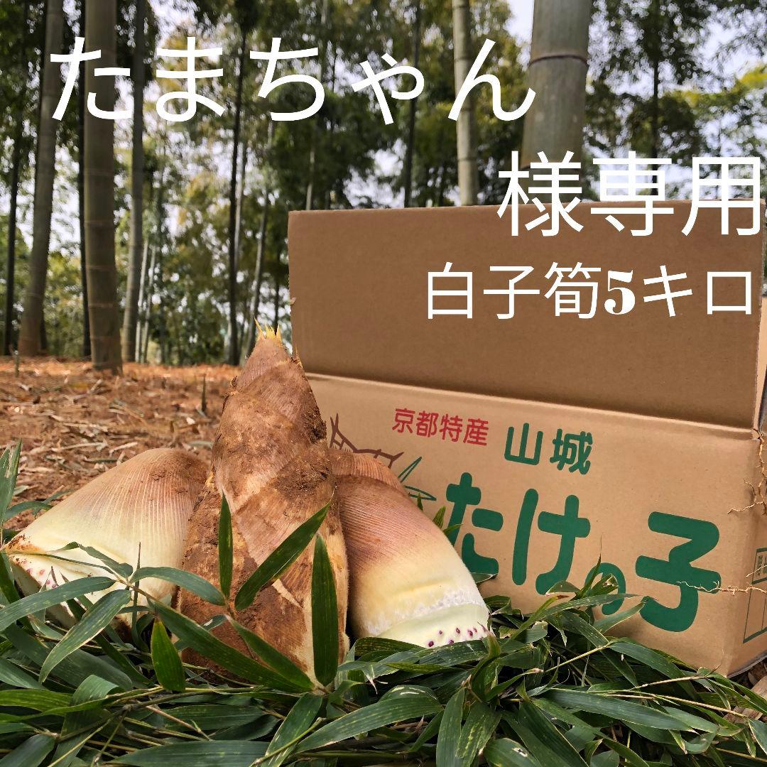 たまちゃん　白子筍5キロ箱込み