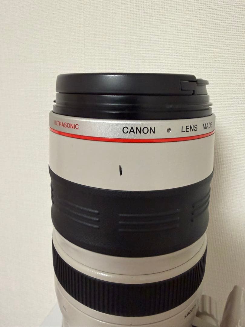 レンズ(ズーム) Canon EF 100-400mm f4.5-5.6L IS USM