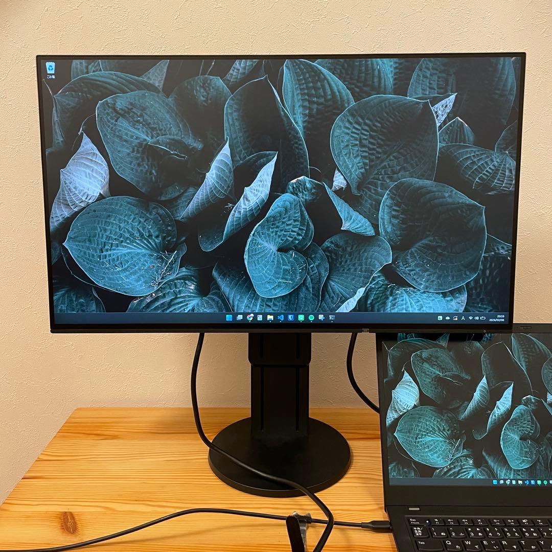 ディスプレイ・モニター本体 EIZO FlexScan EV2451-RBK