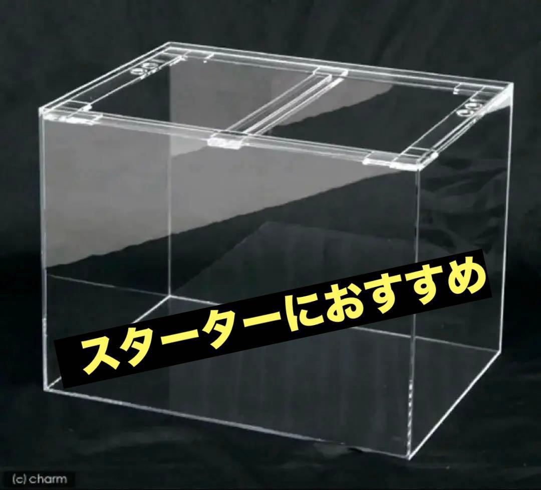 アクリル水槽60㎝【おまけ充実で初心者でも始めやすい】