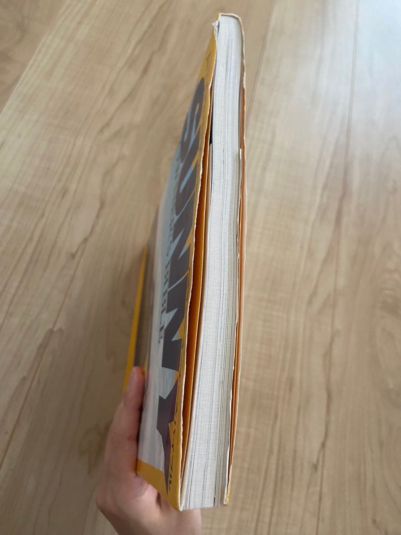 【SUNNY】A型　サニー　オーナーズバイブル　本