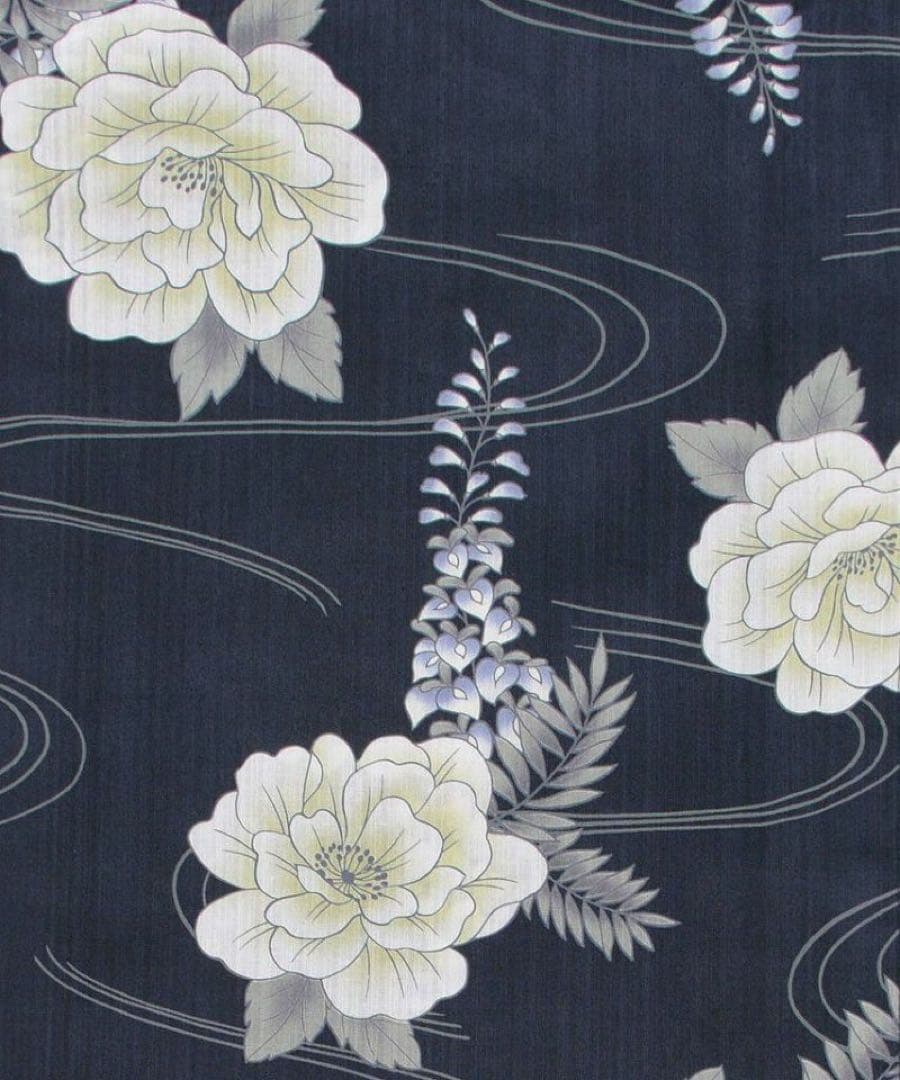 dita 【凪の藤ながれ】5点セット 大人気 オーガンジー 付き