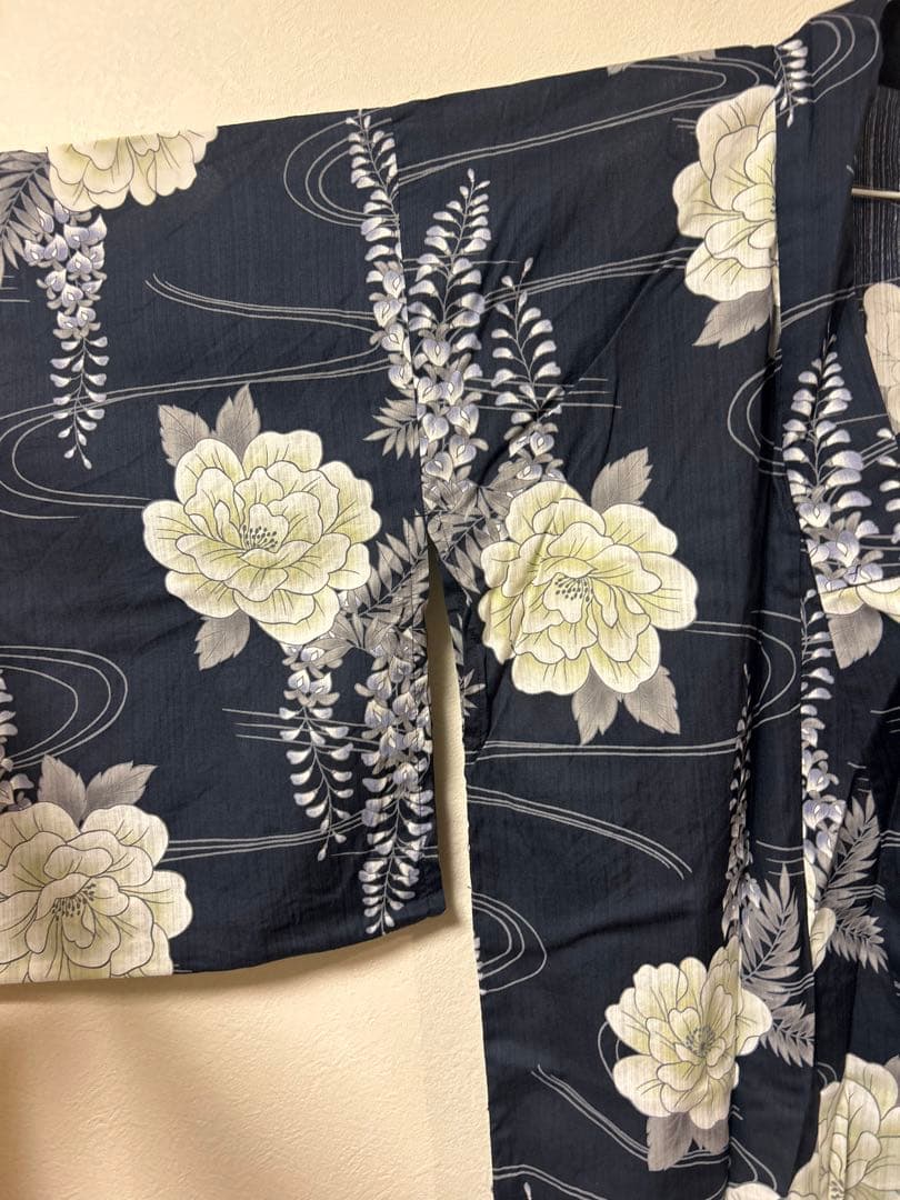 dita 【凪の藤ながれ】5点セット 大人気 オーガンジー 付き