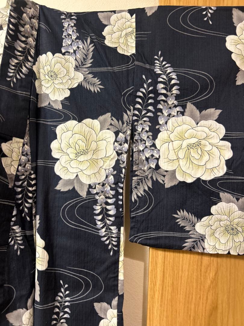 dita 【凪の藤ながれ】5点セット 大人気 オーガンジー 付き