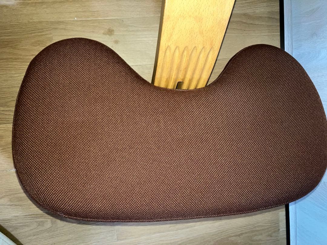 美品　バランスイージー バランスチェア リボ社 新品カバー付(アガットレッド)