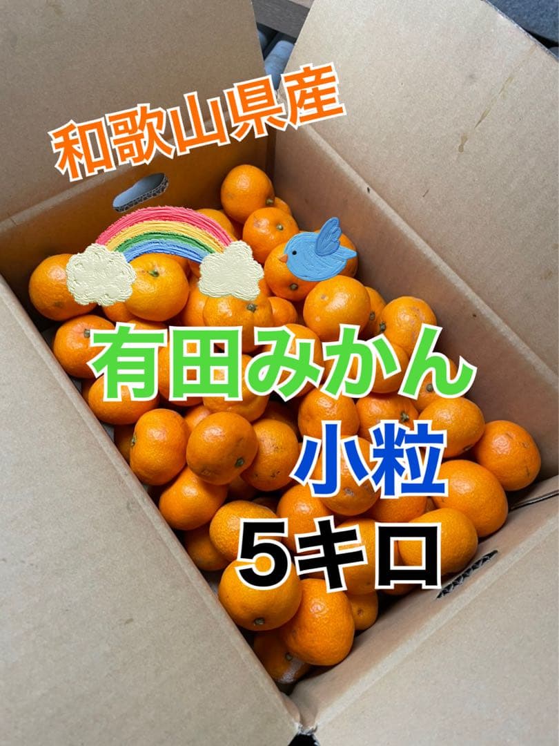 有田みかん　中生みかん　小玉　5キロ✖️4箱