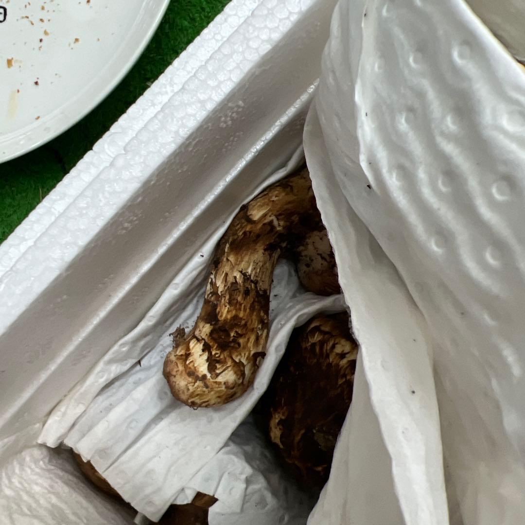 超新鮮な中国産松茸 つぼみ！綺麗！ 28本入り　 約1キロ入り