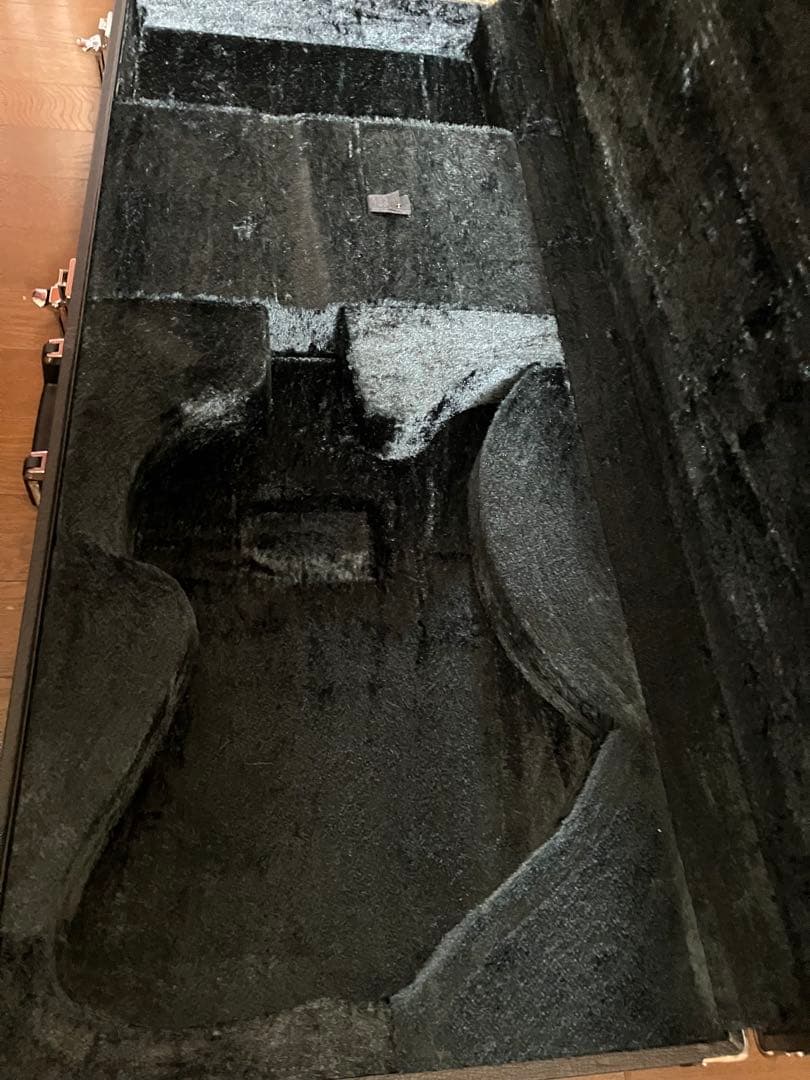 たけい hide モッキンバード ハードケース