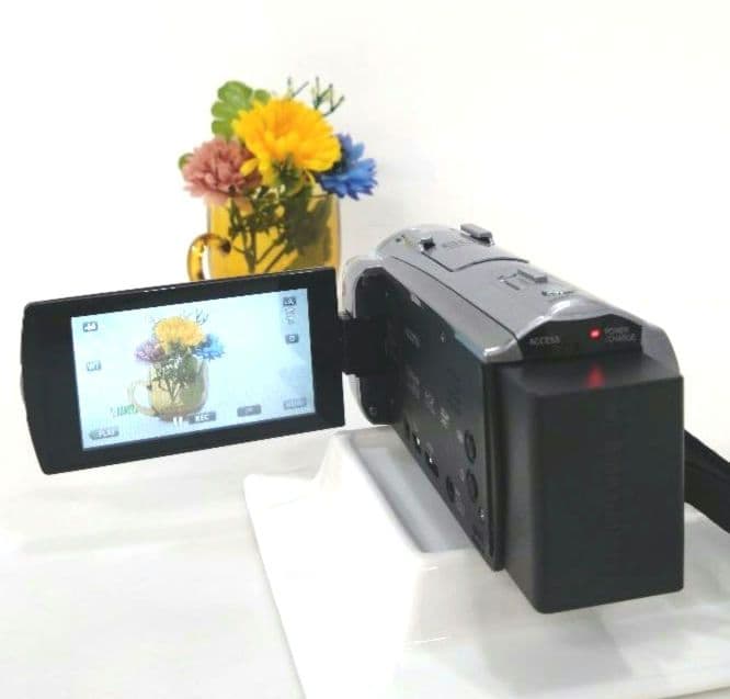 JVCKENWOOD ビデオカメラ フルハイビジョン エブリオ GZ-E745