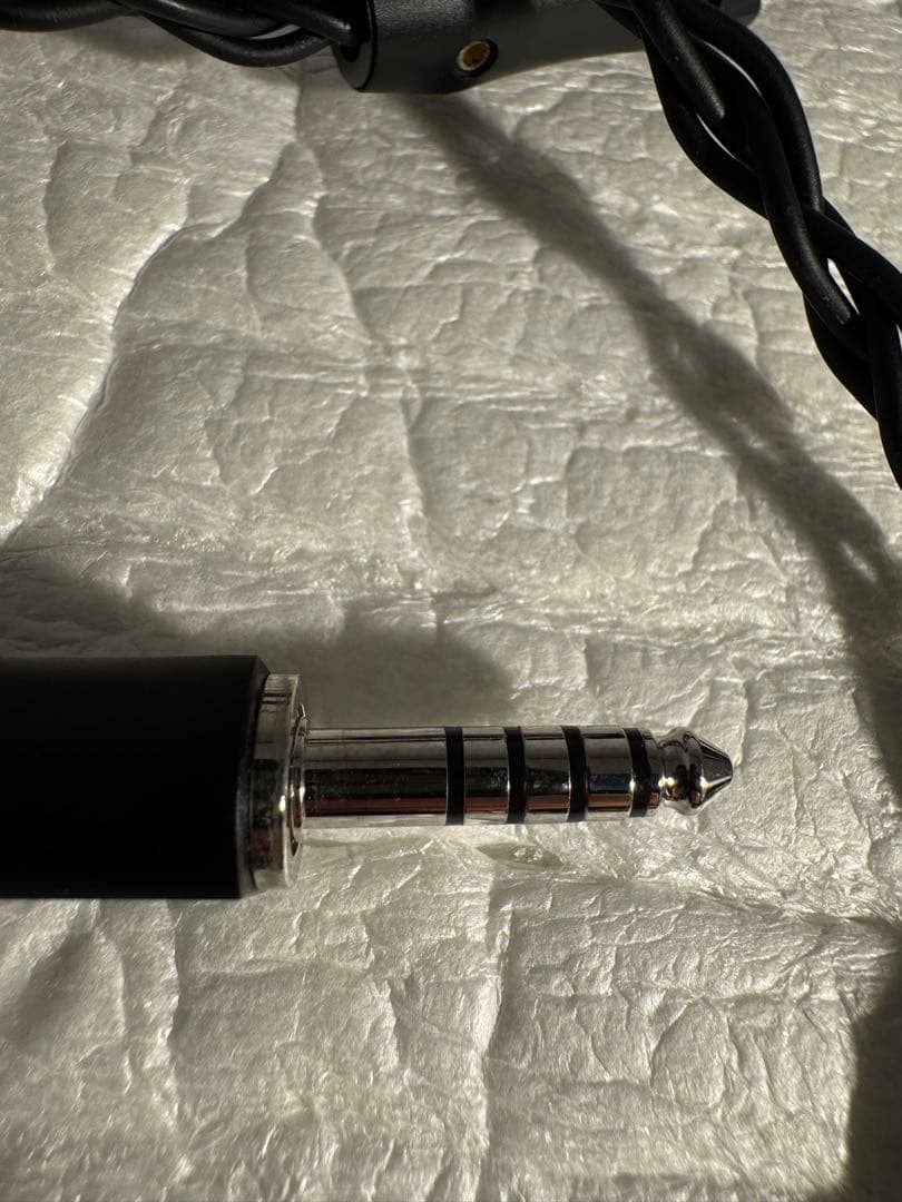 2月4日まで　Empire Ears Raven