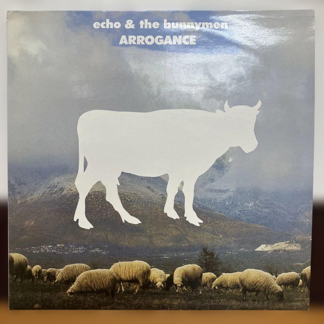 ⑮-38 Echo&the Bunnymen ARROGANCE 2LP 希少盤