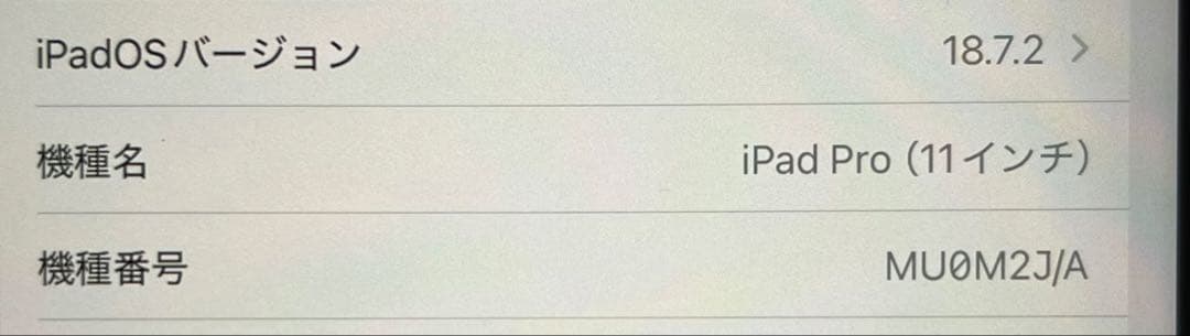 iPad Pro 11インチ 第1世代セルラー+ Apple Pencil
