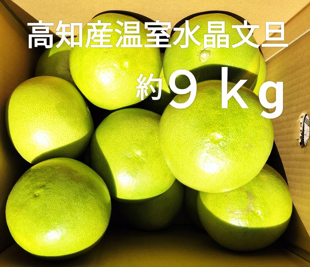 高知産　温室大玉水晶文旦　14玉前後　約９、５ｋｇ（箱込み）　北海道沖縄発送不可