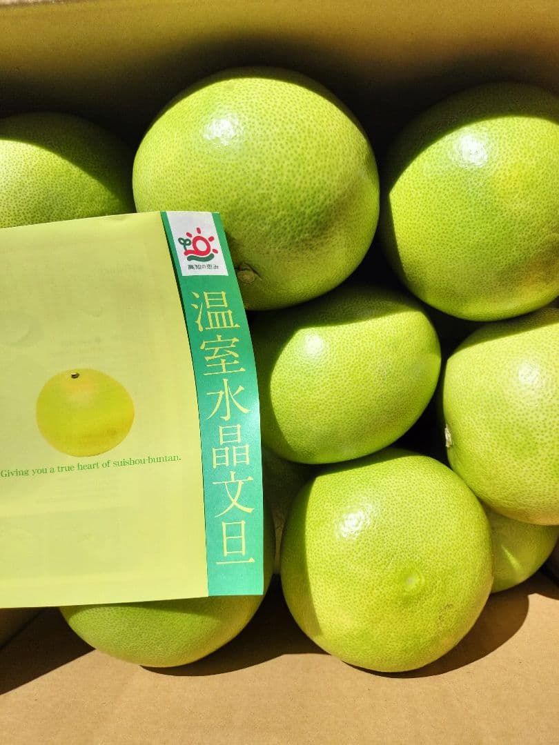 高知産　温室大玉水晶文旦　14玉前後　約９、５ｋｇ（箱込み）　北海道沖縄発送不可