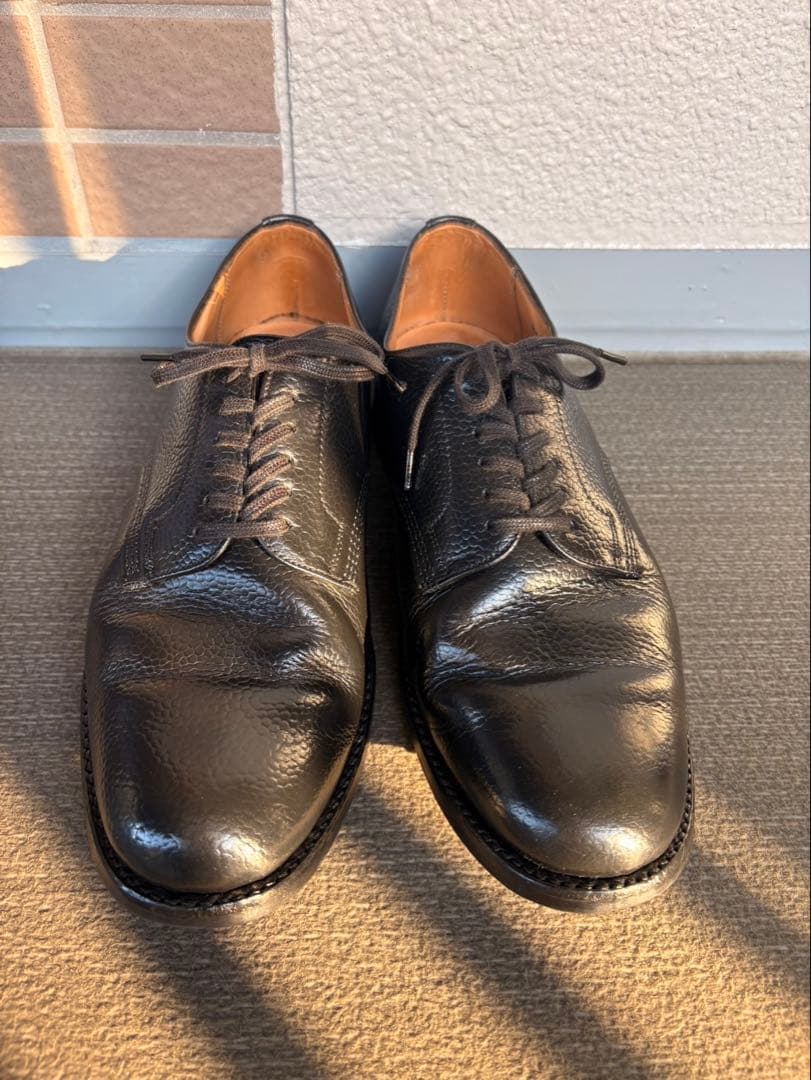 靴 Sanders Wild Life Tailor UK7.5