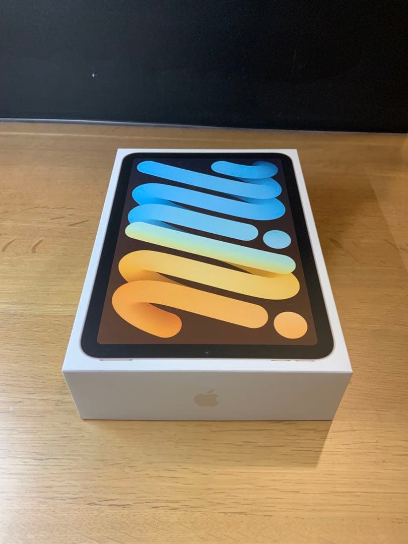 iPad mini (第6世代) 256GB 純正ケース、充電器、ケーブル付き