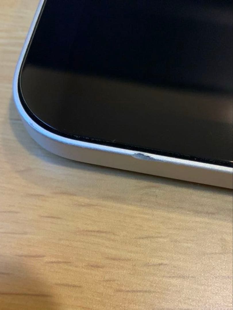 iPad mini (第6世代) 256GB 純正ケース、充電器、ケーブル付き