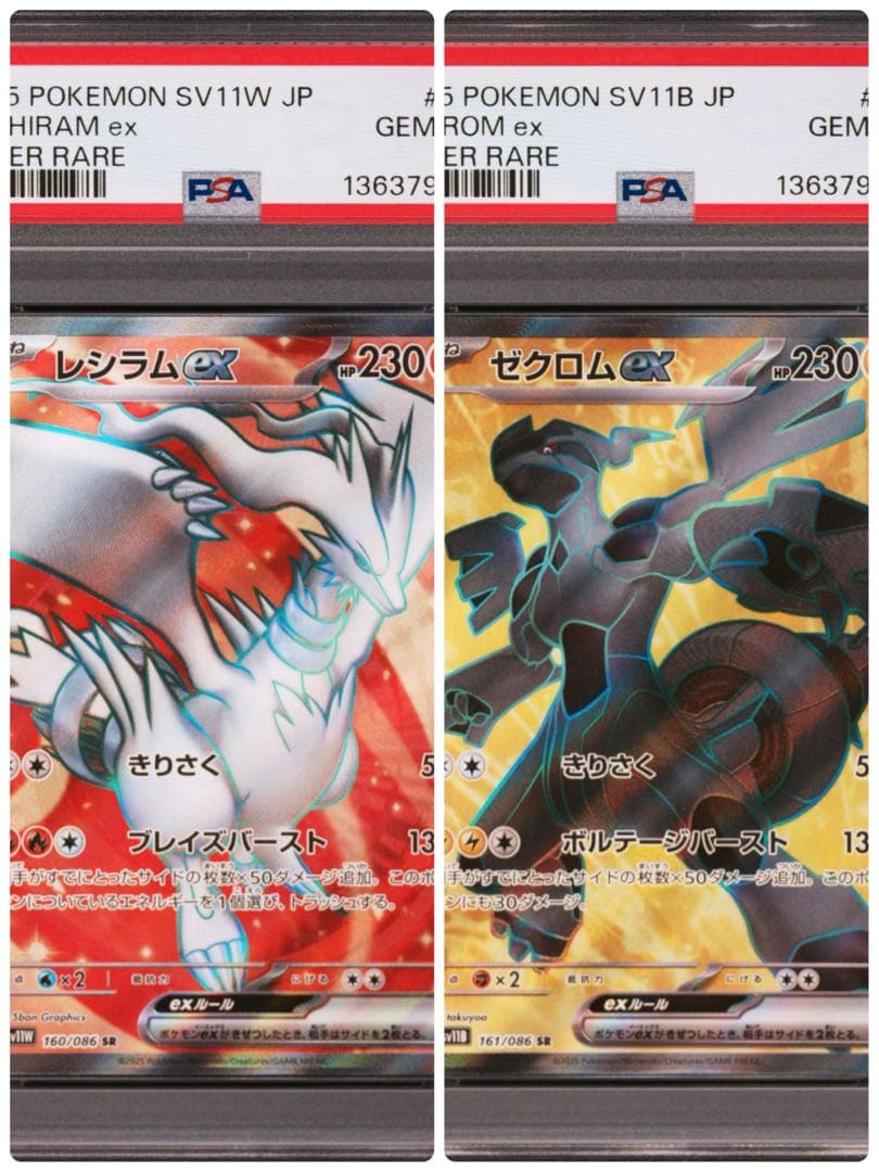 【PSA10】2連番　レシラムex、ゼクロムex SR ポケモンカード